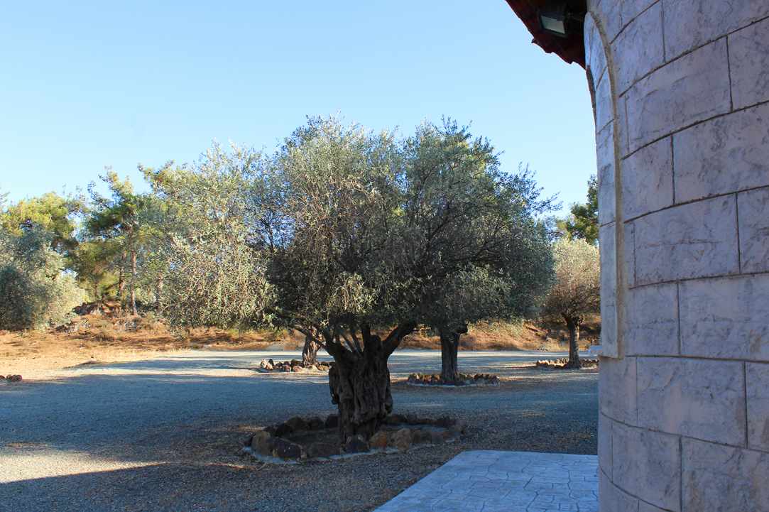Αγία Ειρήνη Χρυσοβαλάντου