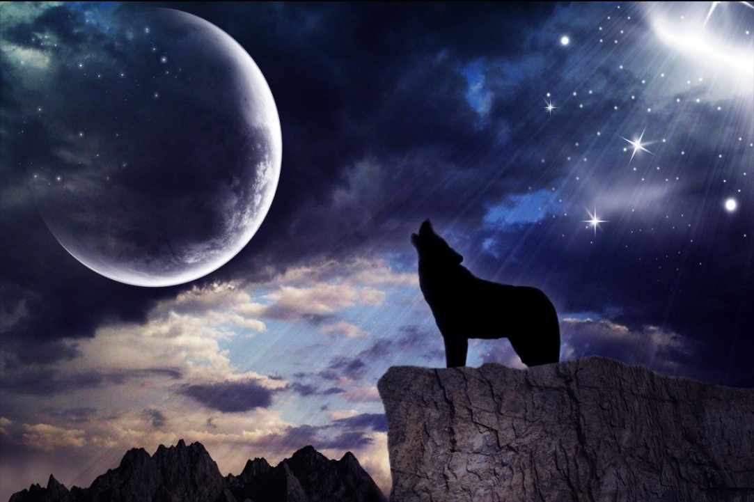 The First Full Wolf Moon 2020