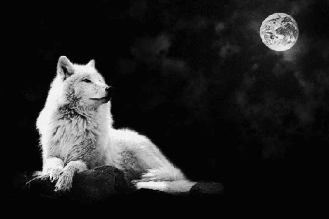 The First Full Wolf Moon 2020