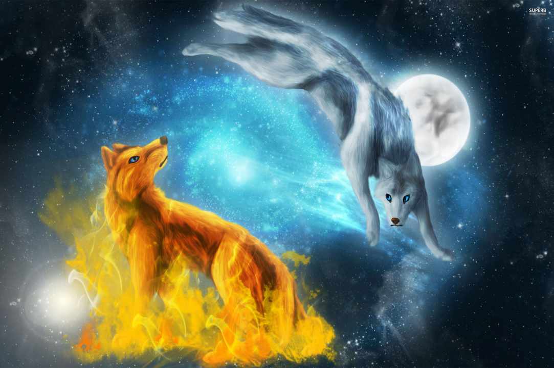 The First Full Wolf Moon 2020