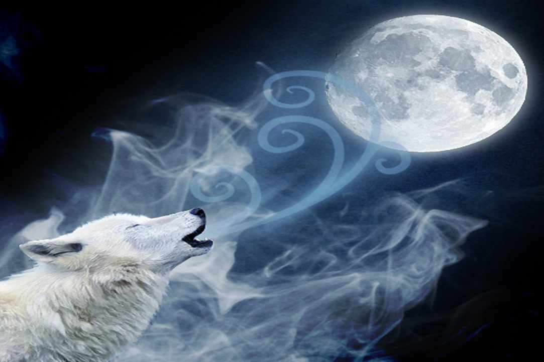 The First Full Wolf Moon 2020