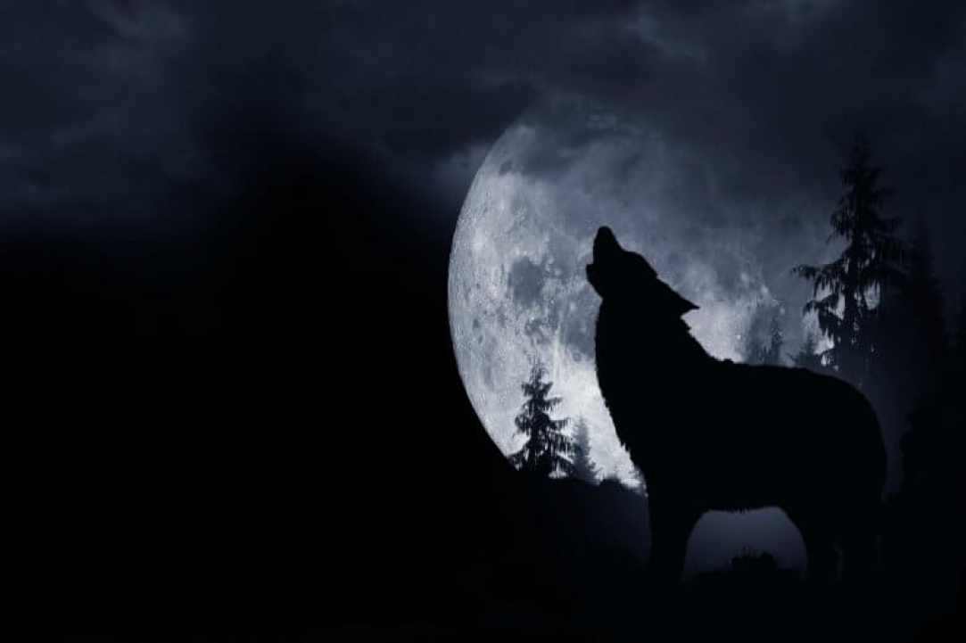 The First Full Wolf Moon 2020