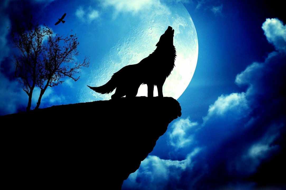 The First Full Wolf Moon 2020