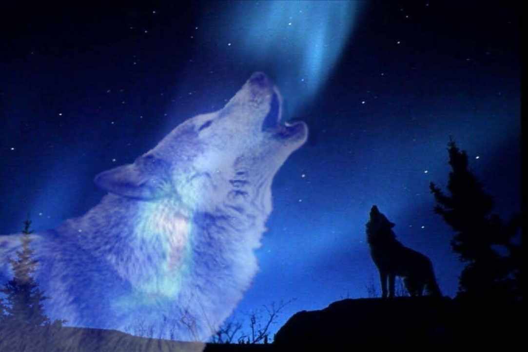 The First Full Wolf Moon 2020