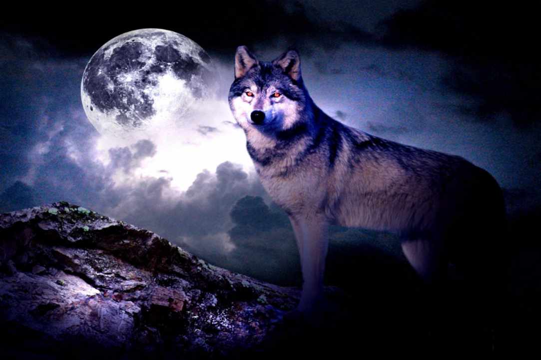 The First Full Wolf Moon 2020