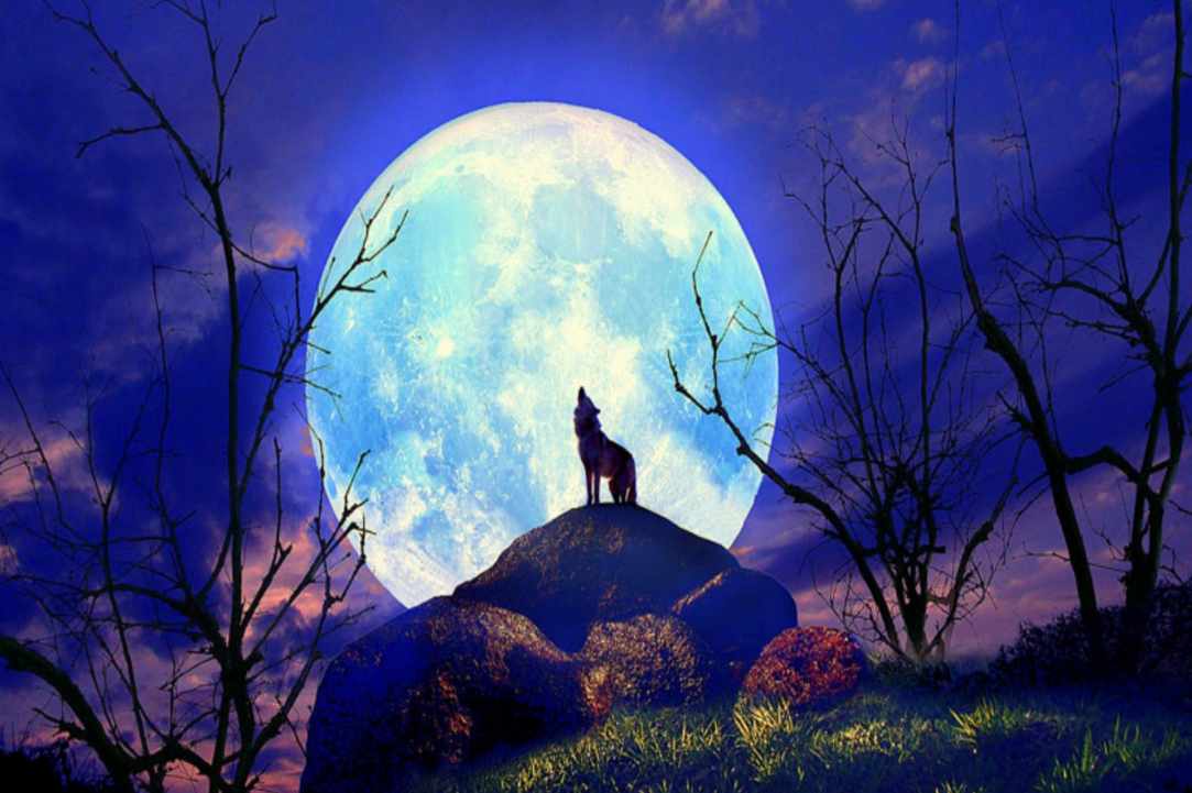 The First Full Wolf Moon 2020