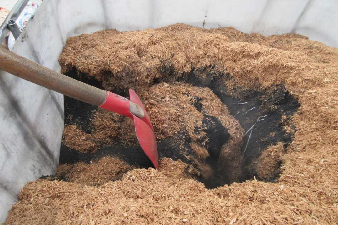 A new project in Cyprus will process woody biomass waste to create biofuel - A catalytic method that will preserve our living world