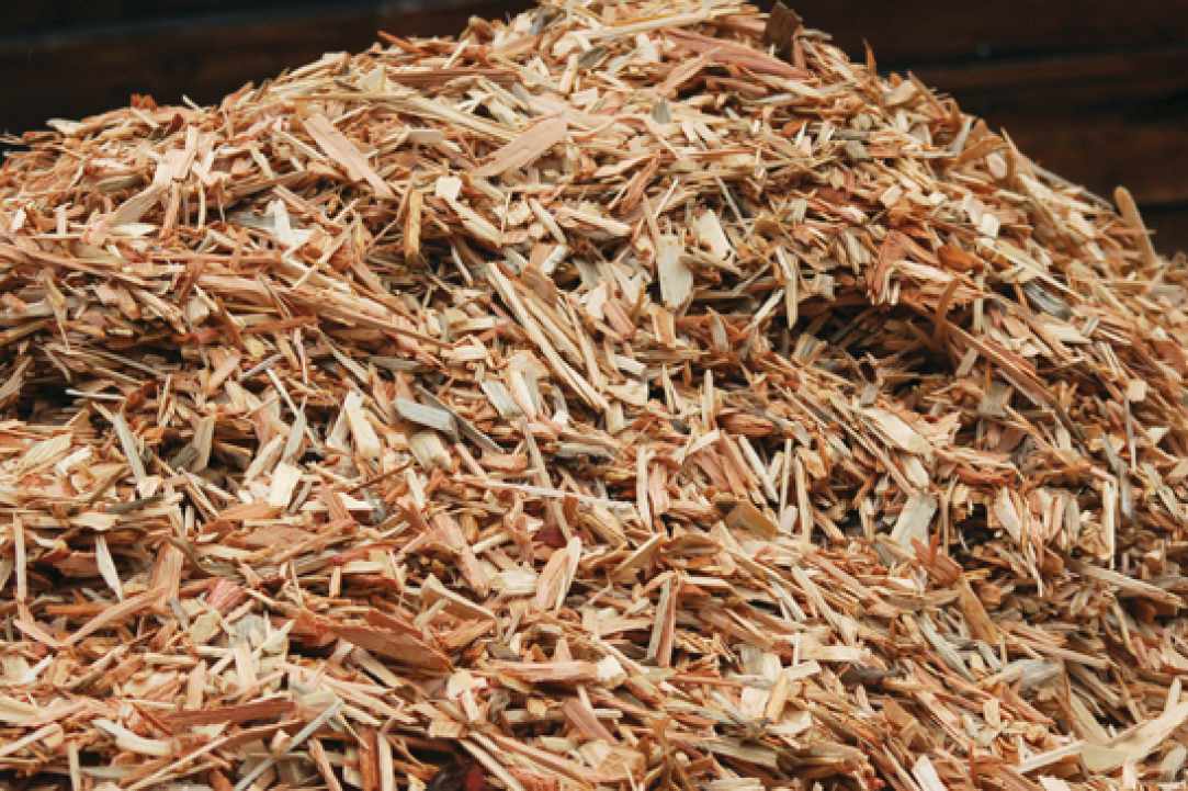 A new project in Cyprus will process woody biomass waste to create biofuel - A catalytic method that will preserve our living world gallery image 3
