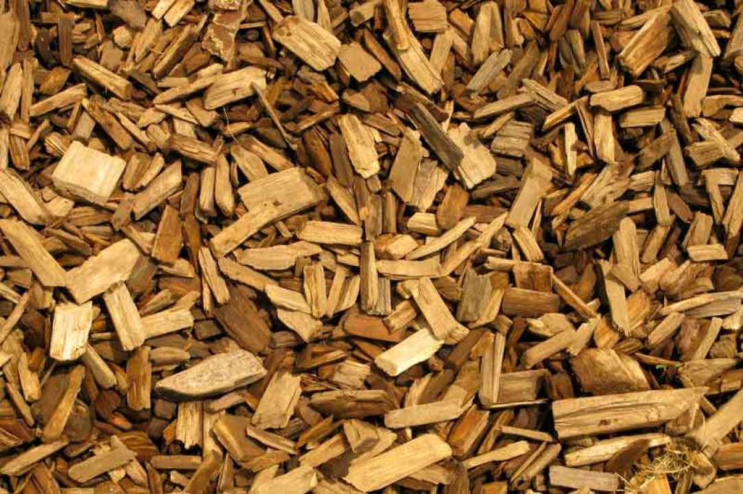 A new project in Cyprus will process woody biomass waste to create biofuel - A catalytic method that will preserve our living world gallery image 4