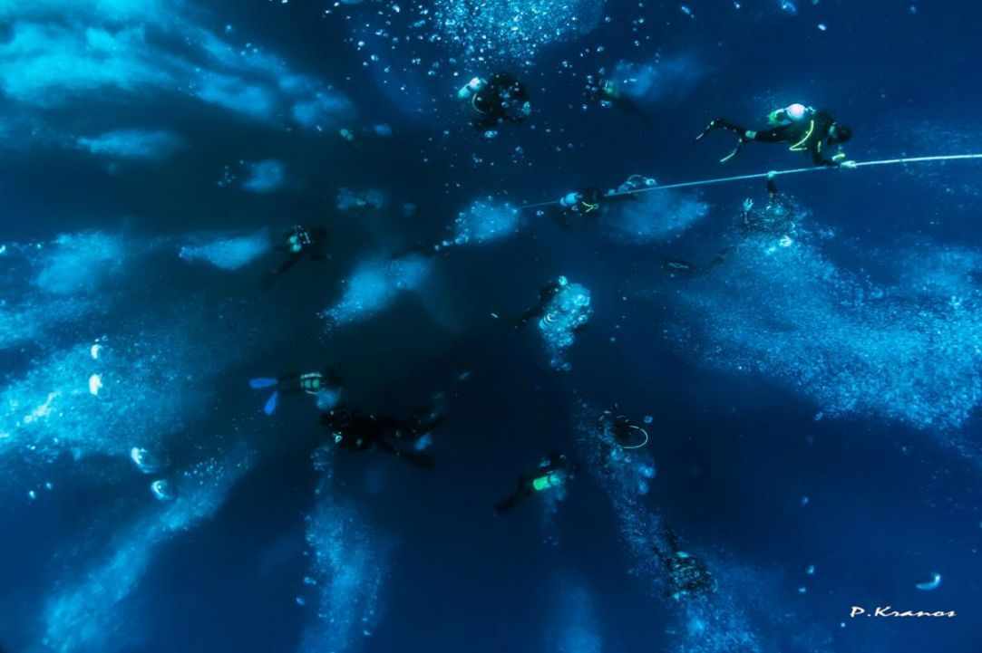 Fun Dive