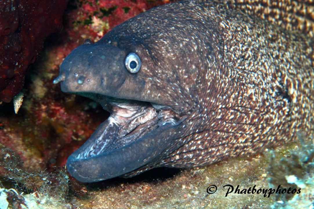 November dive in Cyprus