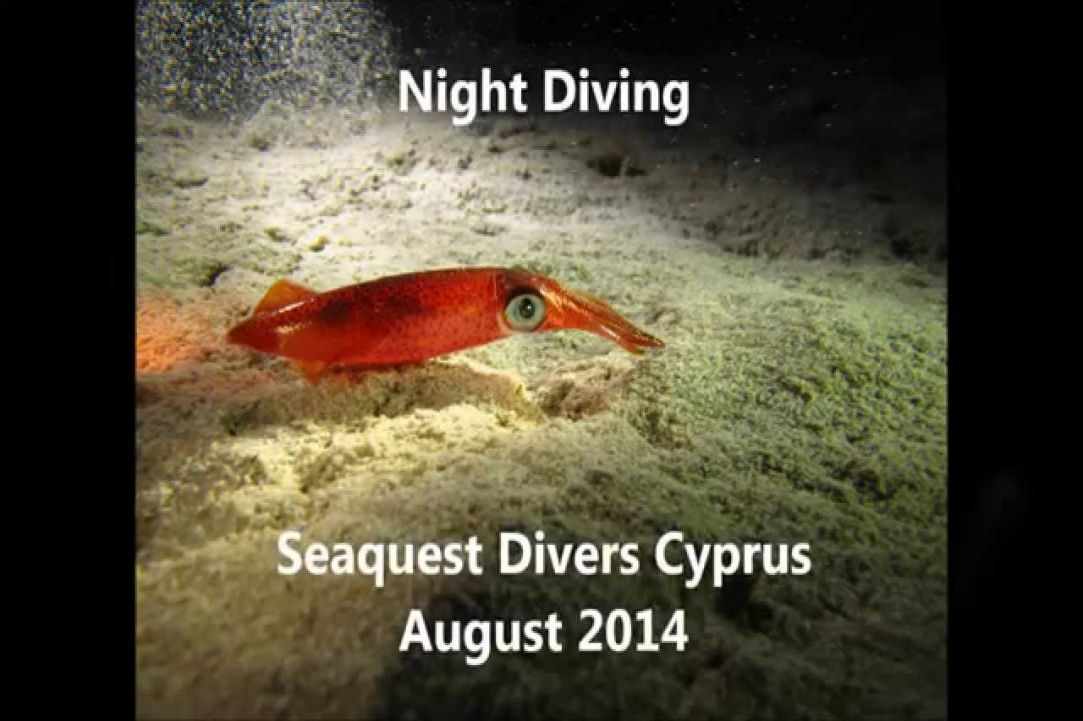 Night Dive