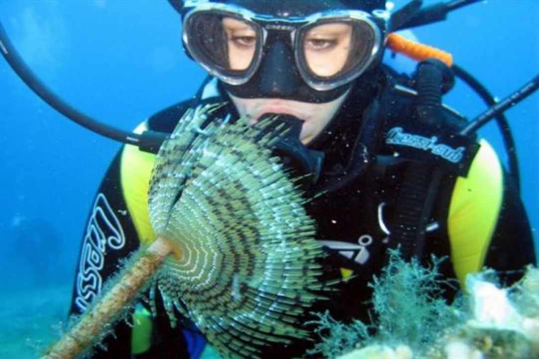 The 7 changes Scuba Diving 
