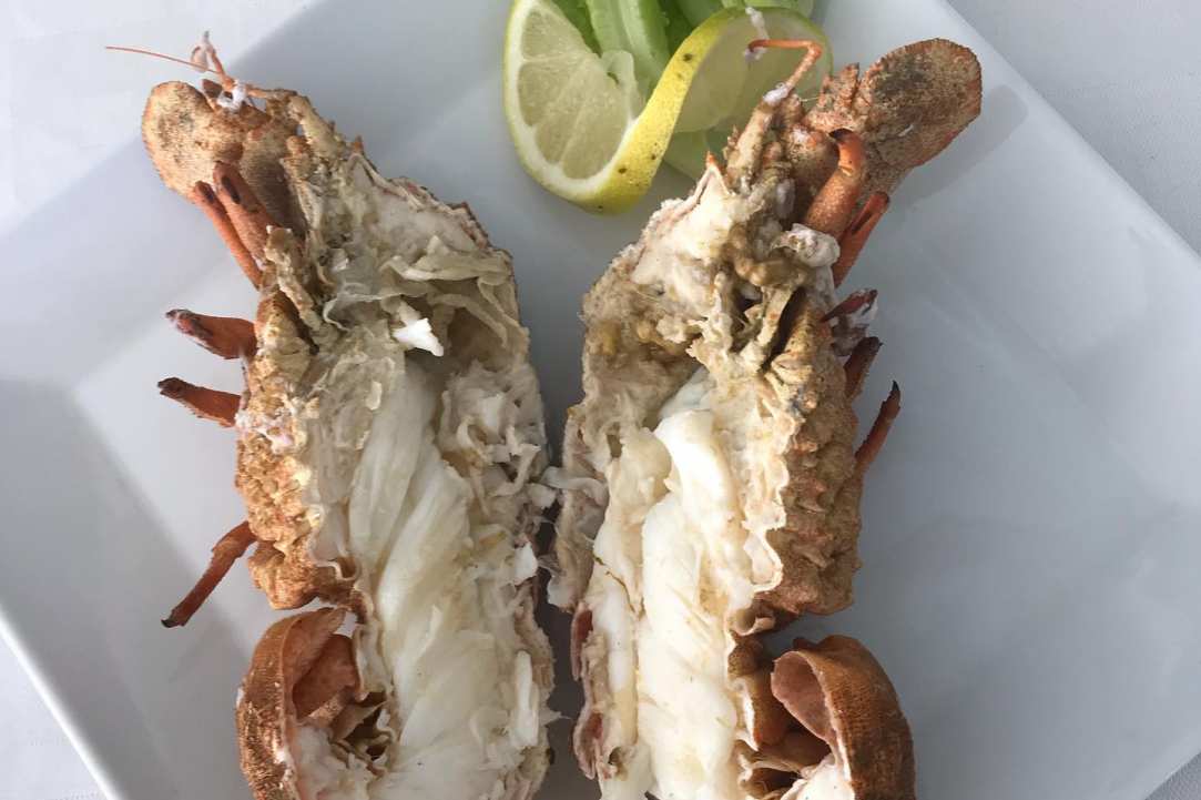 Fresh fish in the heart of Makenzy