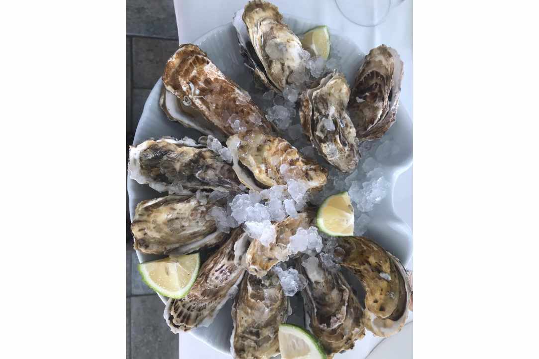Fresh fish in the heart of Makenzy