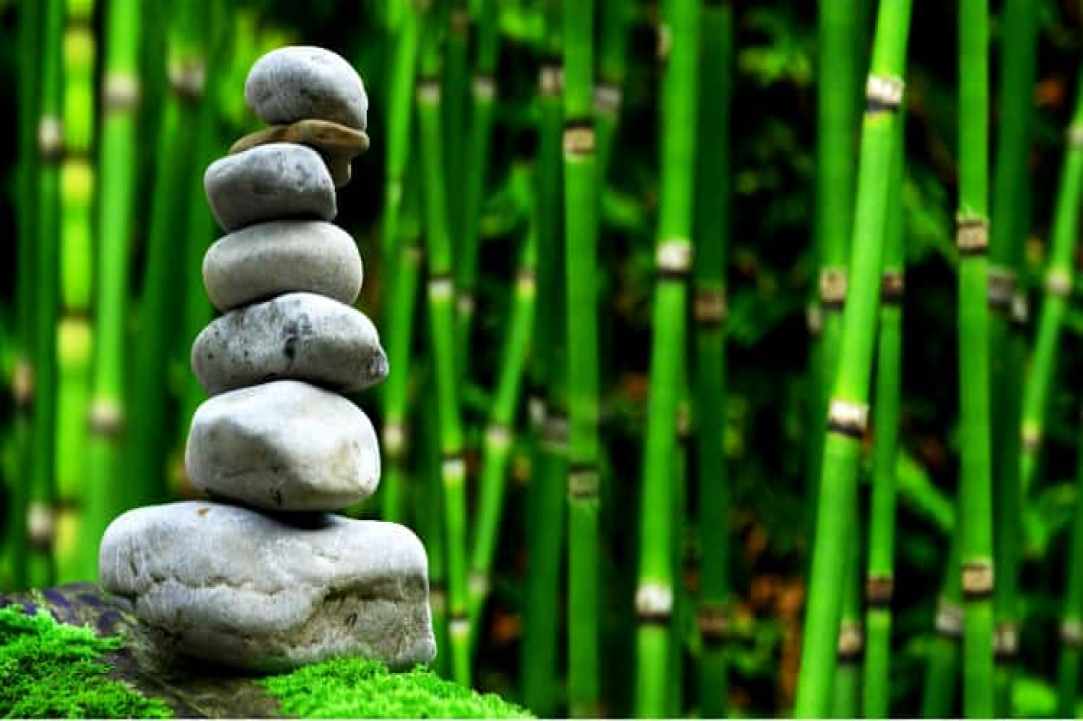 Depression and stress in our time