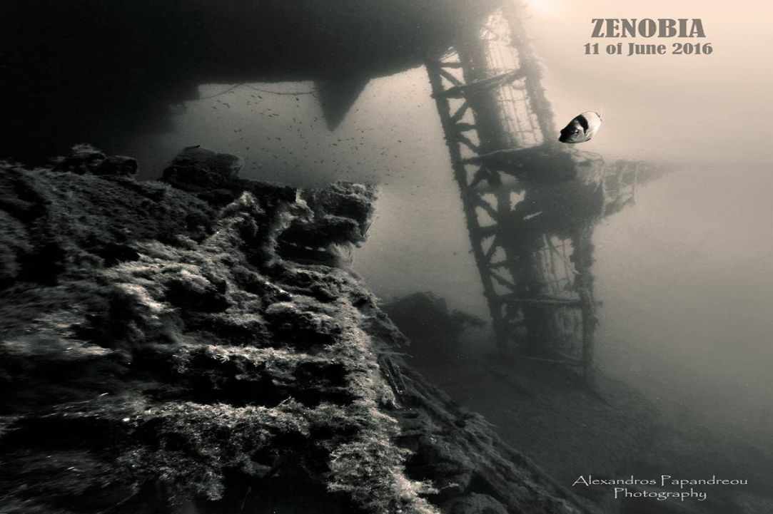 The 7 changes Scuba Diving 