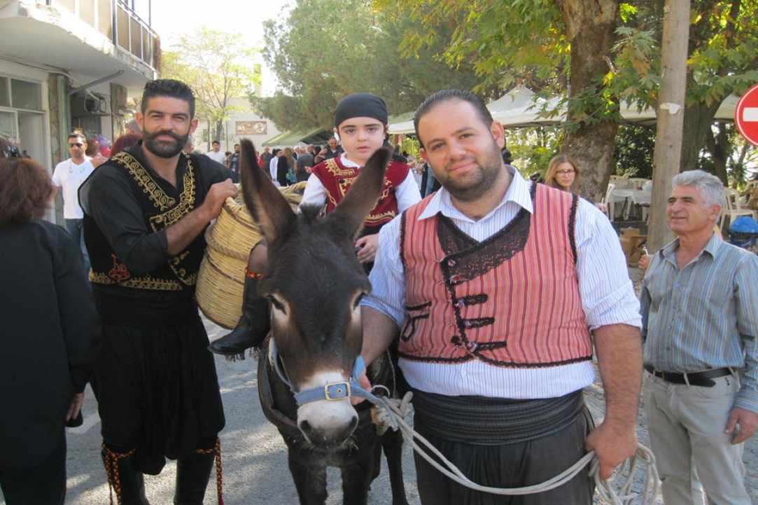 Zivania Festival in Pelendri