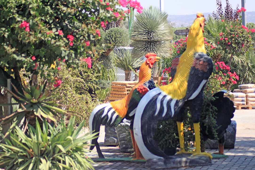 Q Gardens