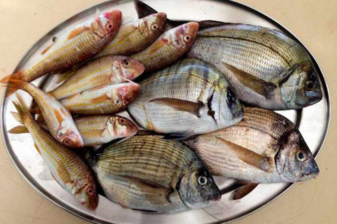 Stefanos Fish Tavern