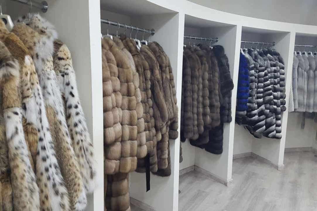 Queen Furs
