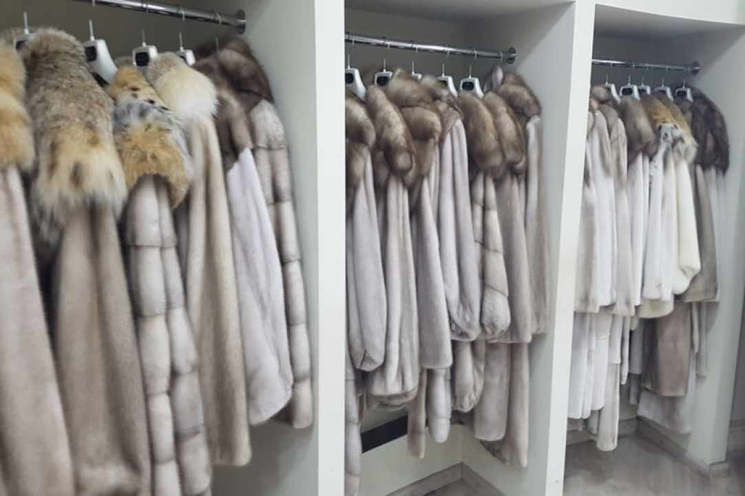 Queen Furs
