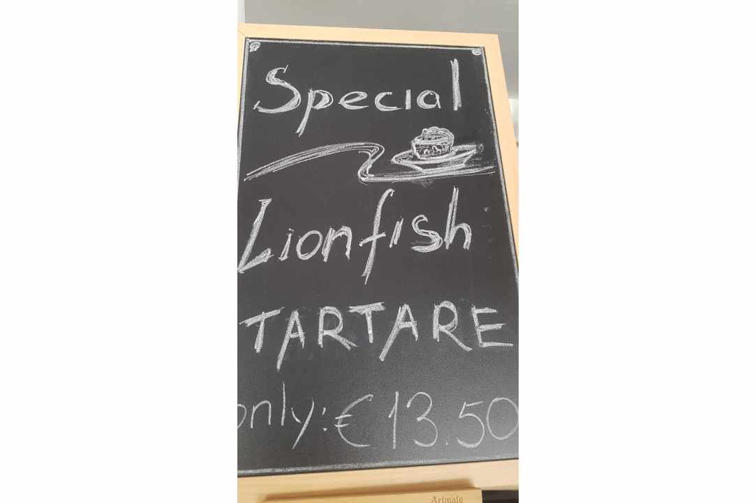 Kingfisher Taverna