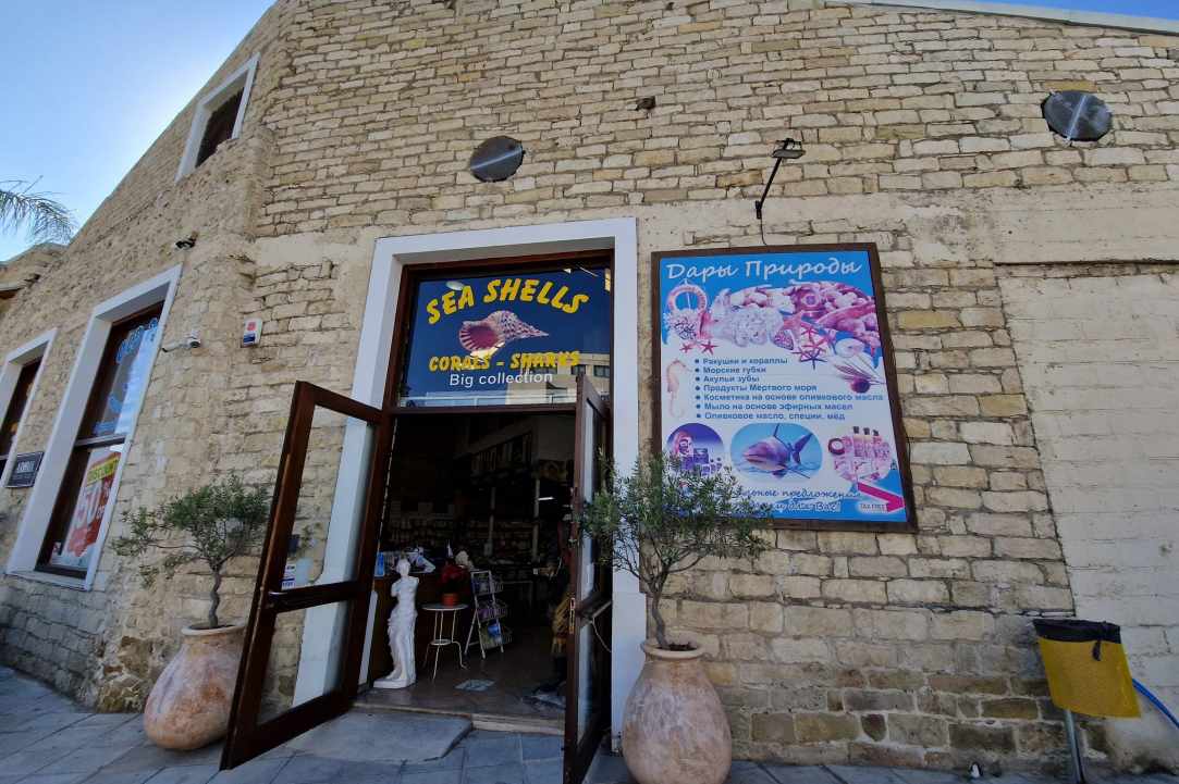 Old Port Sea Sponges Exhibition -  Souvenir Center gallery image 2