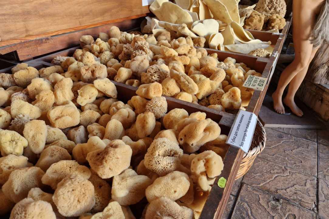 Old Port Sea Sponges Exhibition -  Souvenir Center gallery image 5