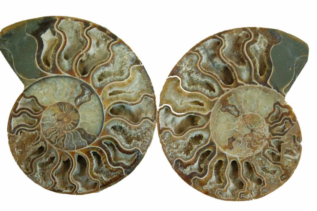 Treasures from the StoneAge