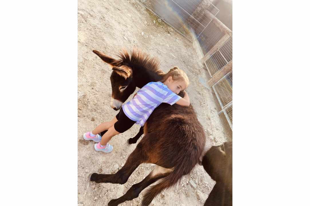 Apesia Hills Donkey Riding Park