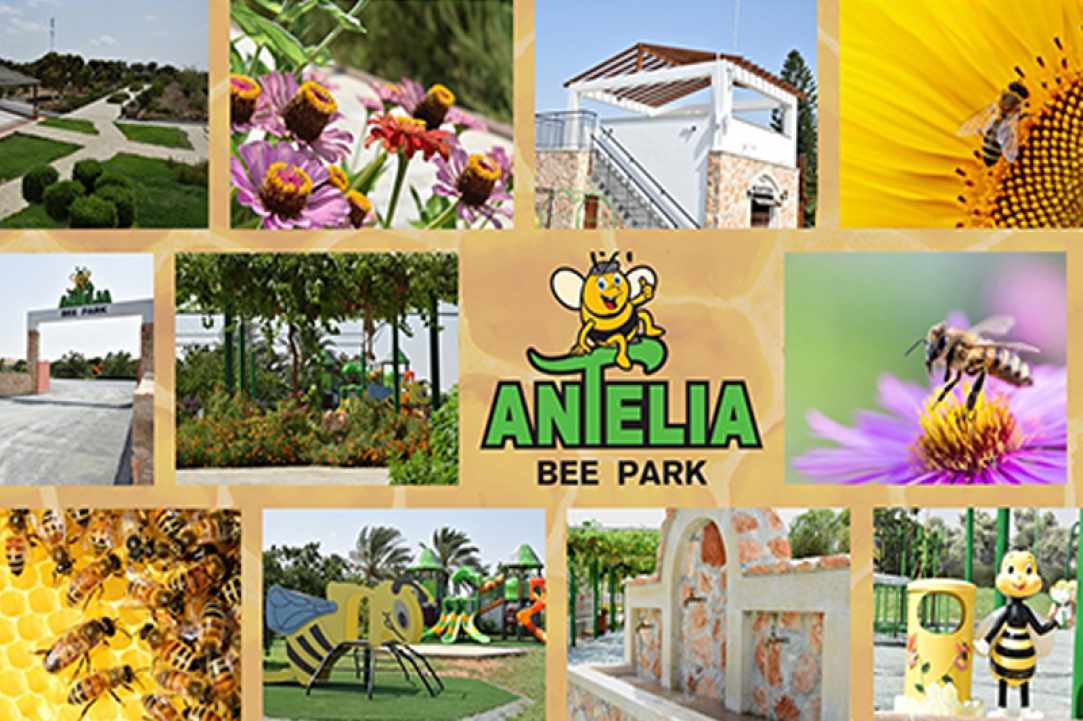 Antelia Bee Park