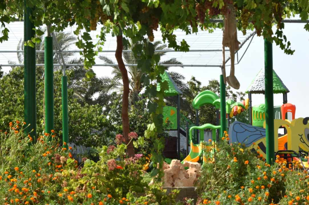 Antelia Bee Park