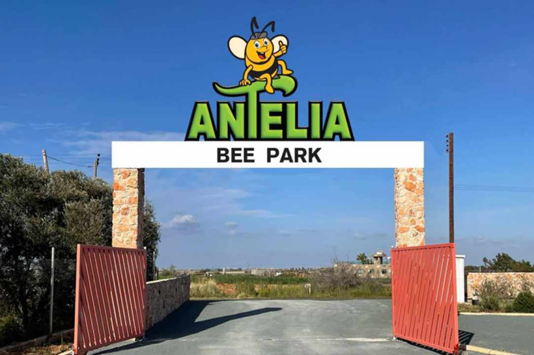 Antelia Bee Park