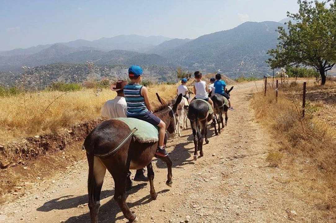 Apesia Hills Donkey Riding Park gallery image 1
