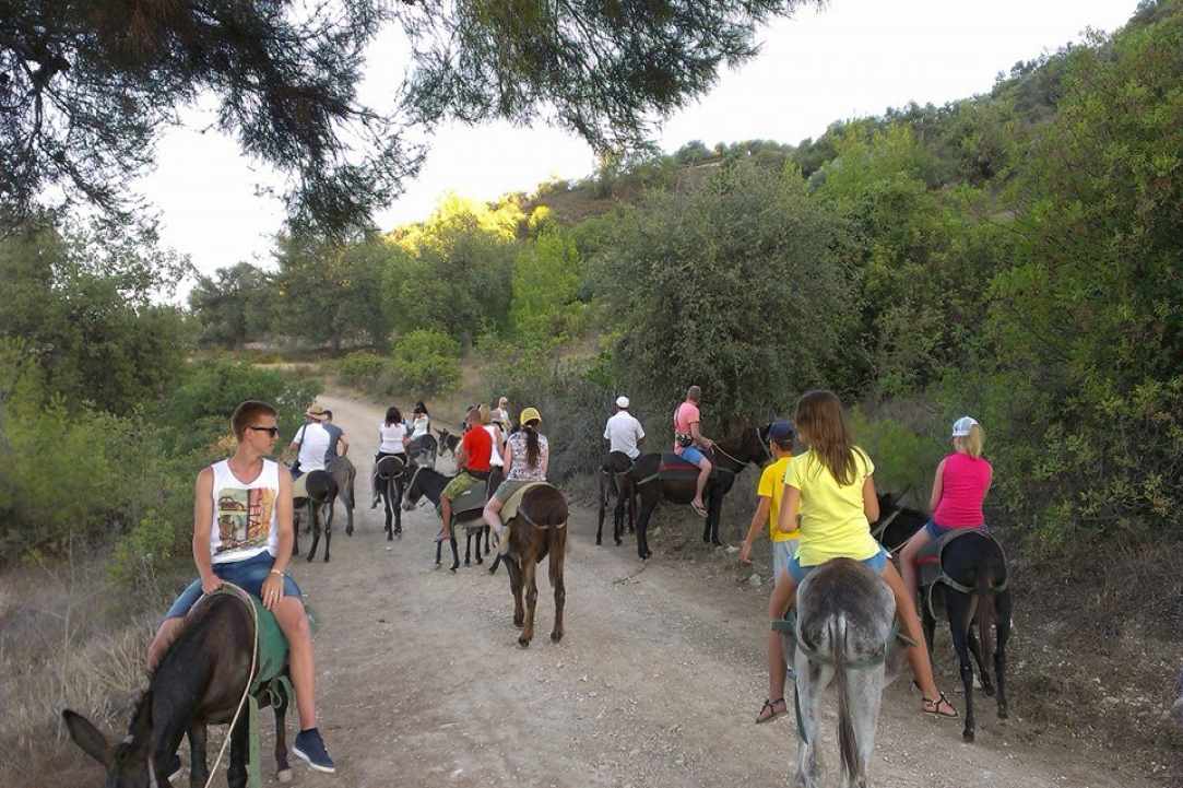 Apesia Hills Donkey Riding Park gallery image 2