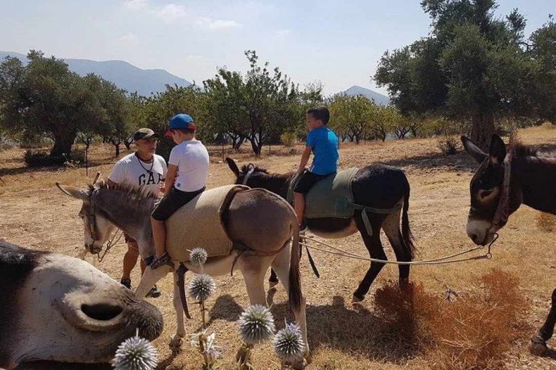 Apesia Hills Donkey Riding Park gallery image 5