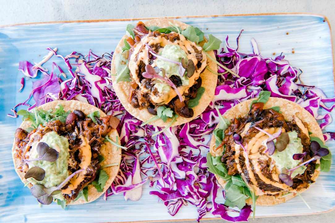 Armadillo Tex-Mex