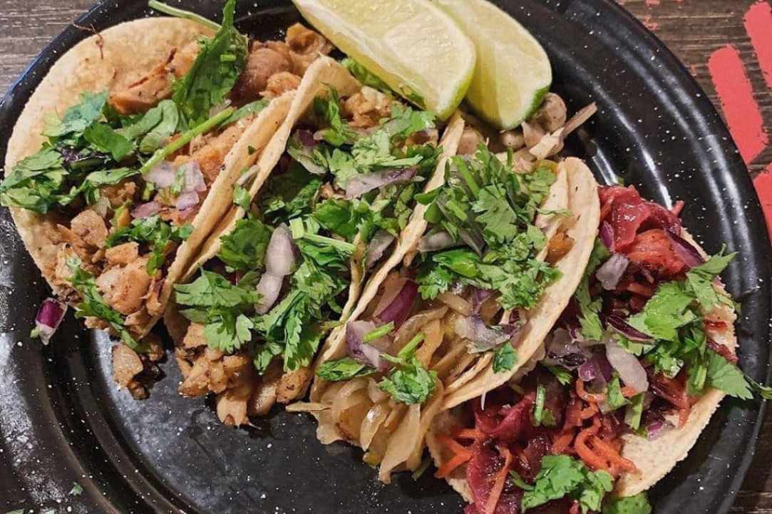 Armadillo Tex-Mex