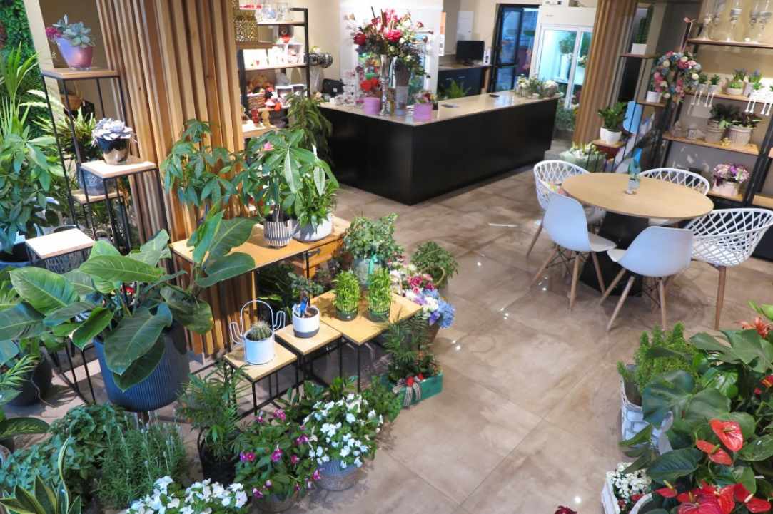 Arocaria Flower Shop