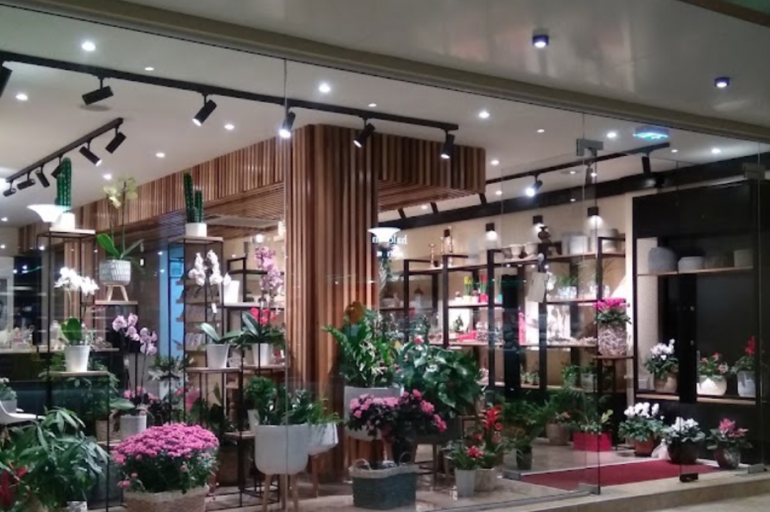 Arocaria Flower Shop