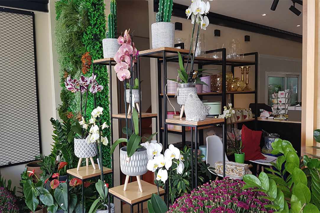 Arocaria Flower Shop