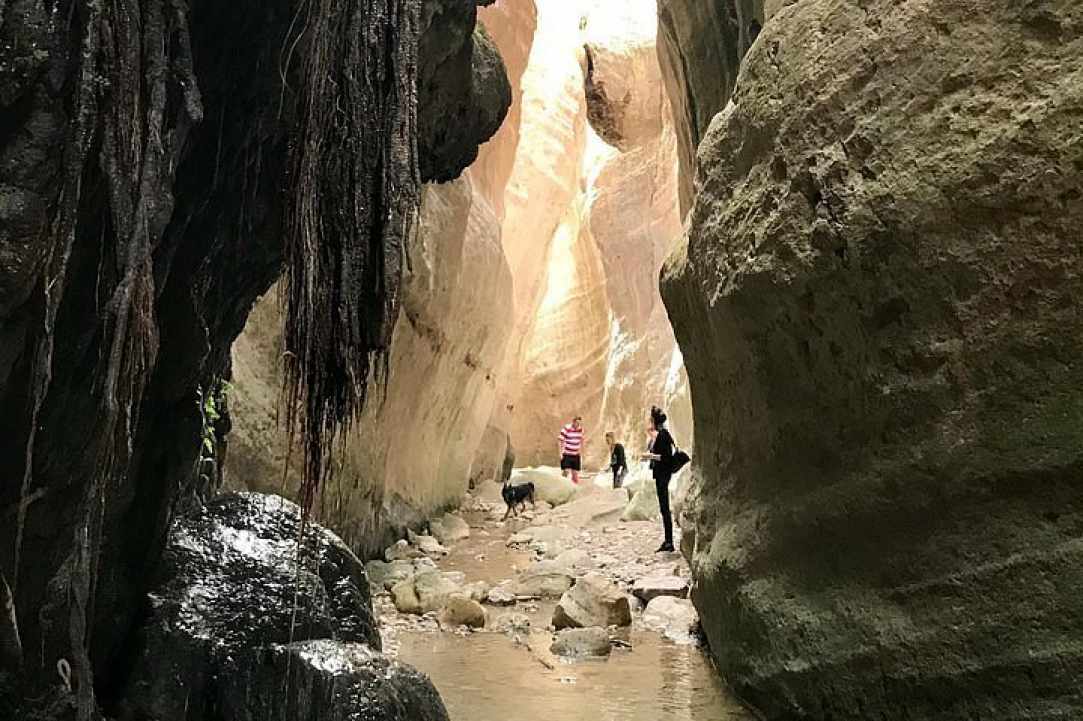 Φαράγγι του Άβακα gallery image 1