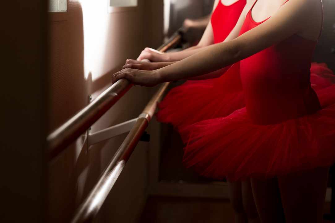 School Of Ballet Sylvia Terzi gallery image 4