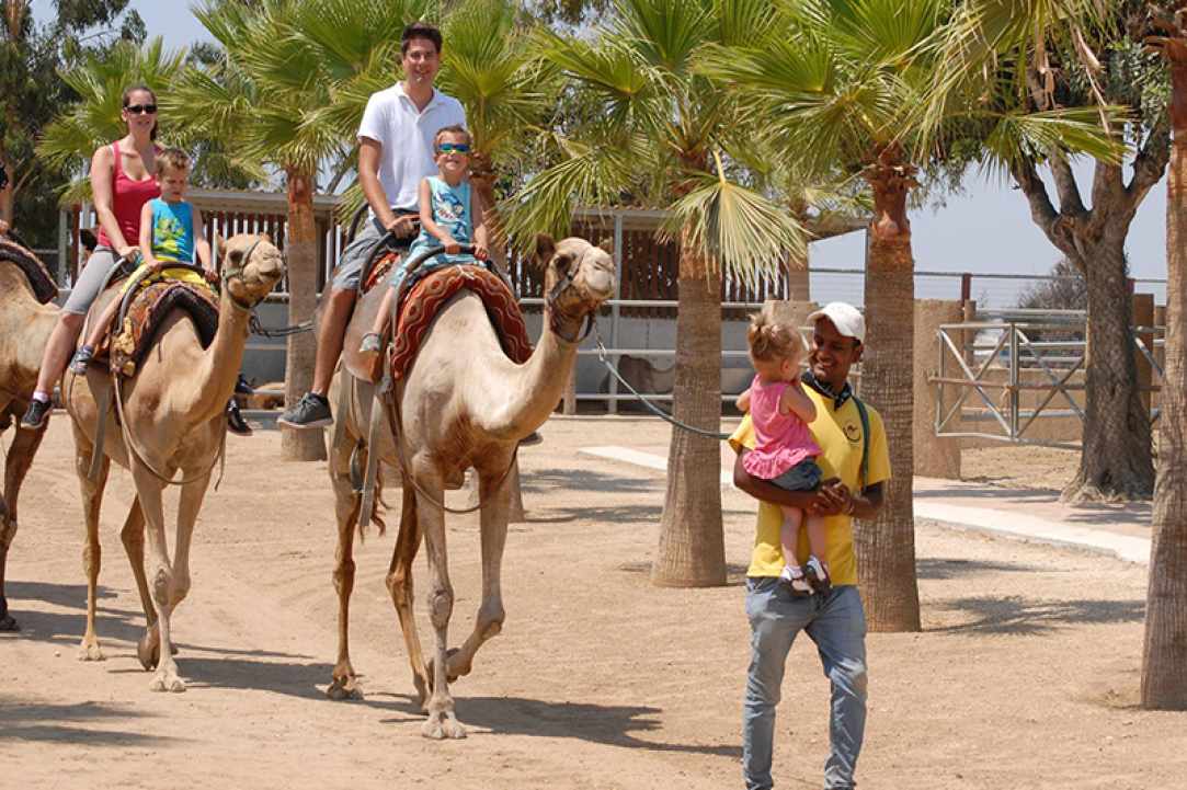 Camel Park Mazotos