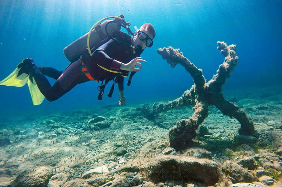 CyDive gallery image 4