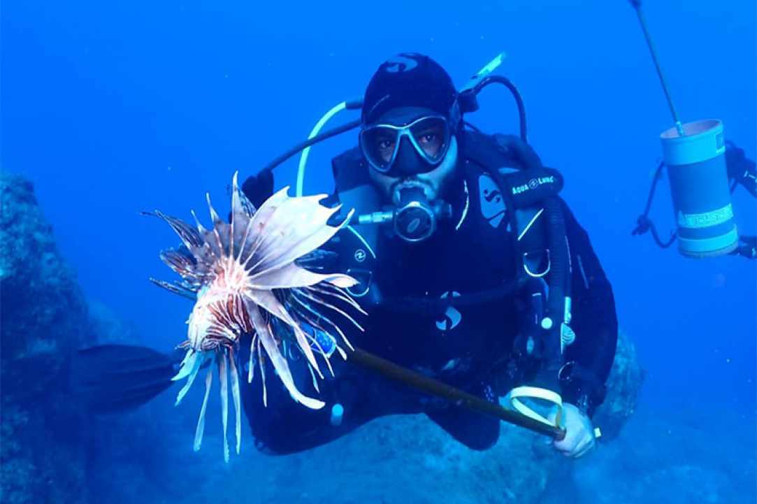 CyDive gallery image 5