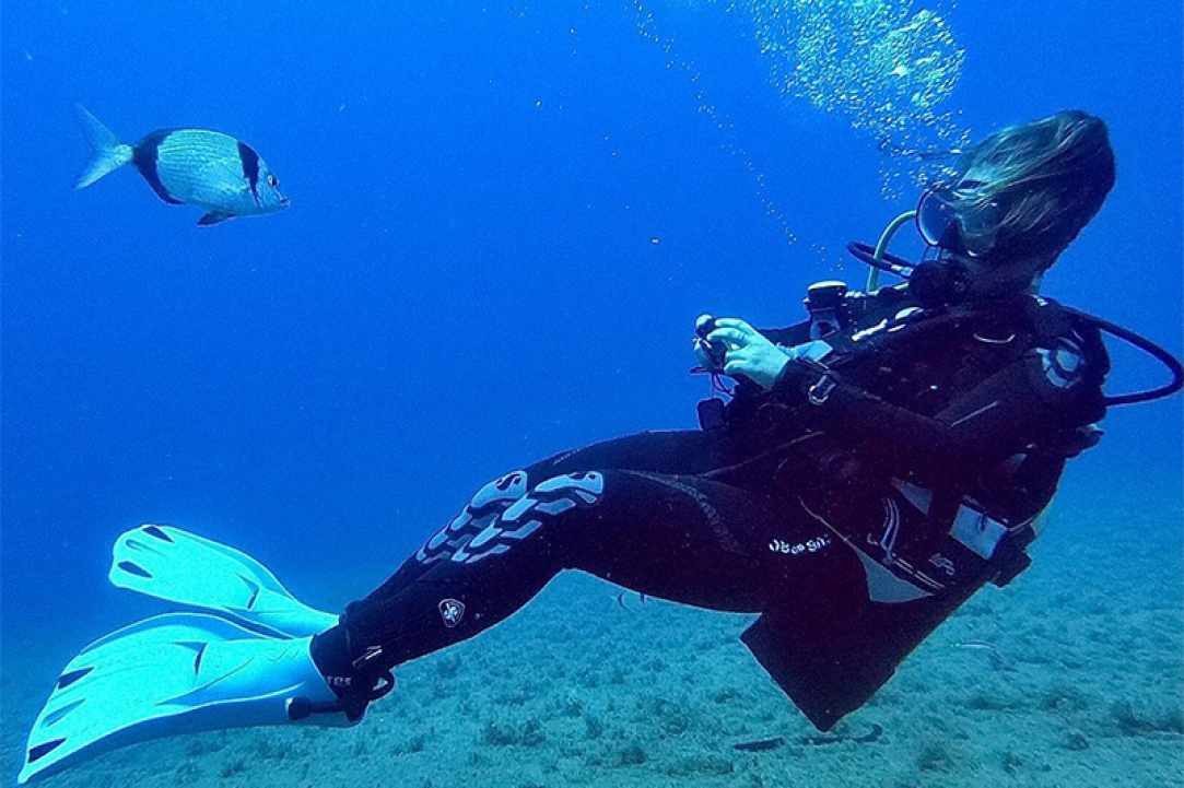 CyDive