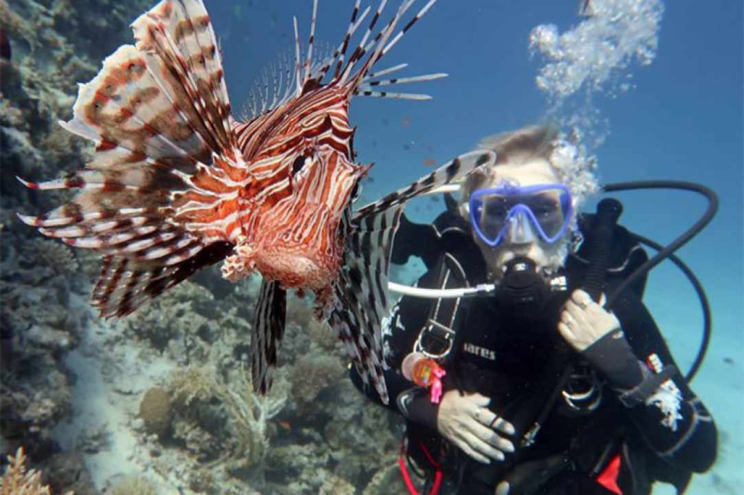 CyDive