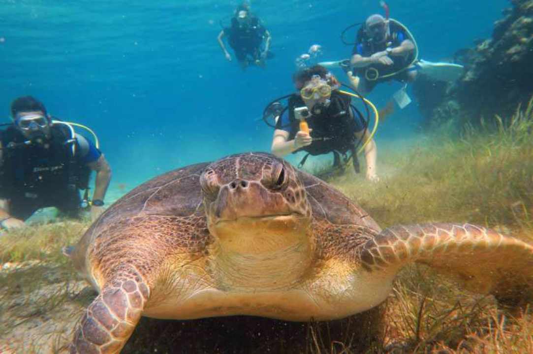 Cyprus Diving Centre gallery image 1